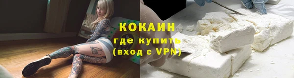 трава Белокуриха