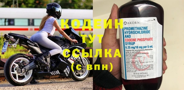 трава Белокуриха