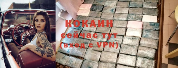 трава Белокуриха
