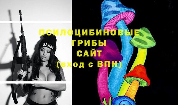 трава Белокуриха