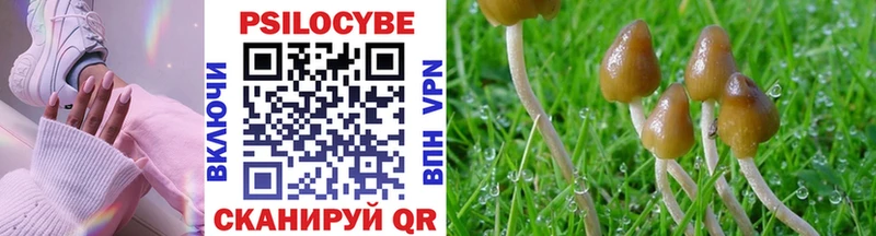 наркота  Надым  Галлюциногенные грибы MAGIC MUSHROOMS 